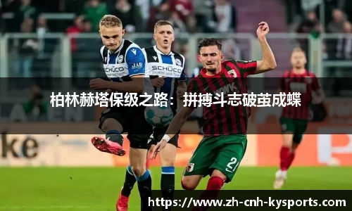 开云kaiyun首页