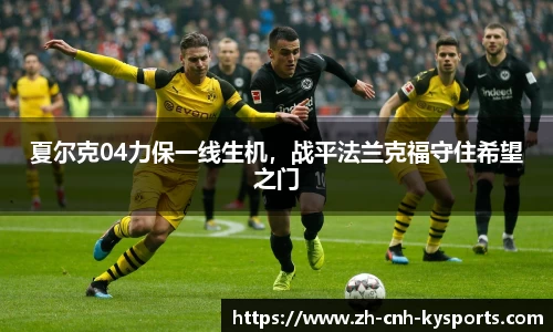 开云kaiyun平台