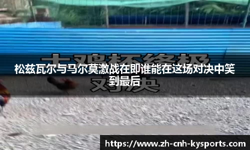 开云kaiyun网页版