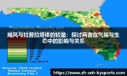 开云kaiyun网页版